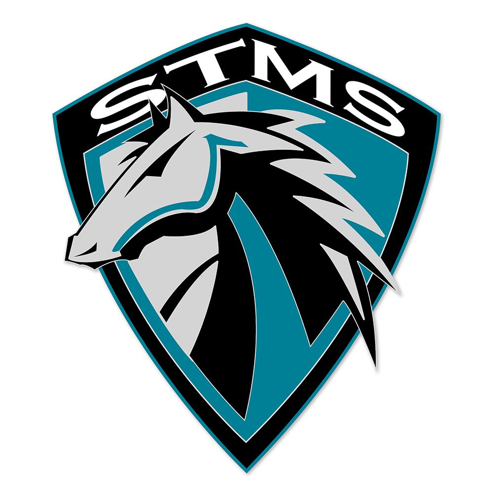  STMS LOGO